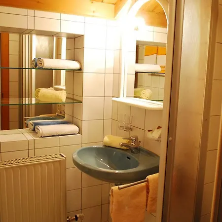 Lejlighed Haus Suedblick Zell am See