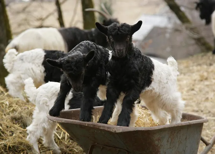 Apartamento Haus Südblick Zell am See